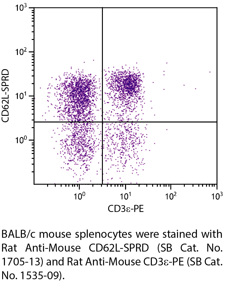 Rat Anti-Mouse CD62L-SPRD - 0.1 mg