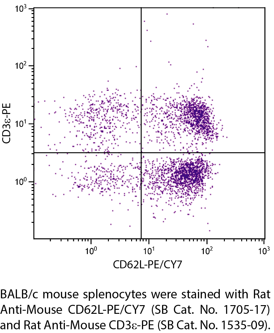 Rat Anti-Mouse CD62L-PE/CY7 - 0.1 mg