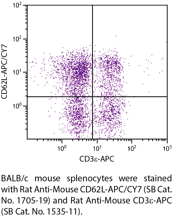 Rat Anti-Mouse CD62L-APC/CY7 - 0.1 mg