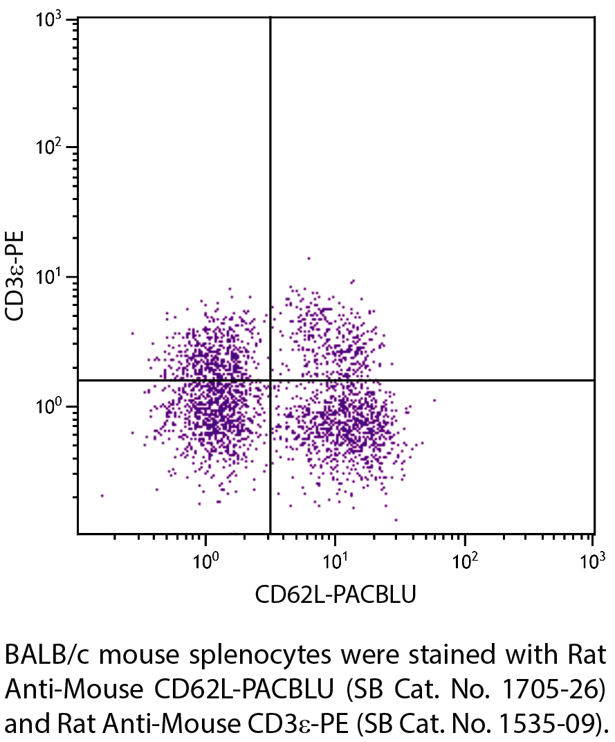 Rat Anti-Mouse CD62L-PACBLU - 0.1 mg