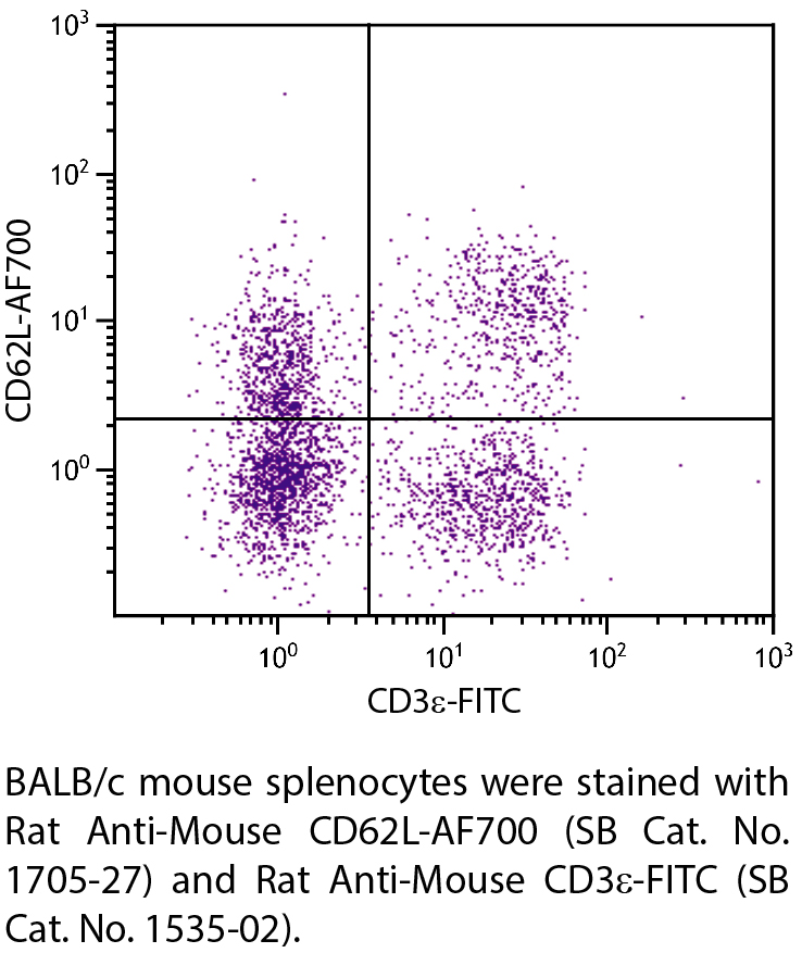 Rat Anti-Mouse CD62L-AF700 - 0.1 mg