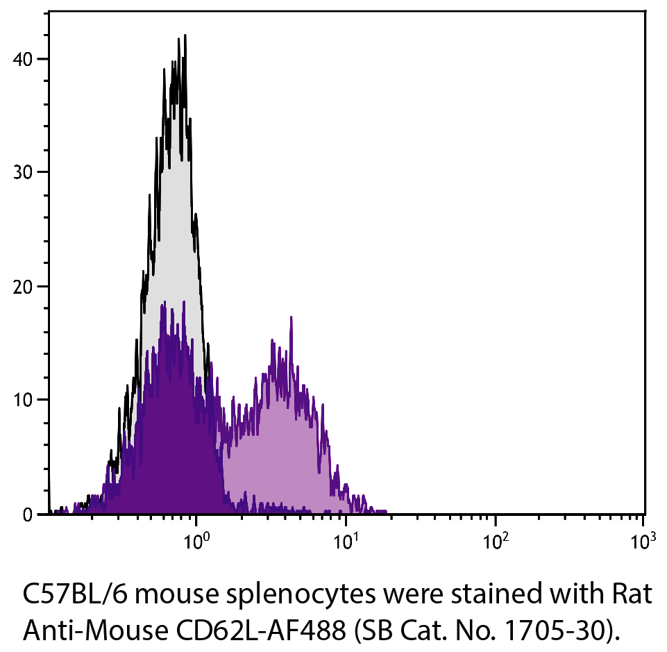 Rat Anti-Mouse CD62L-AF488 - 0.1 mg