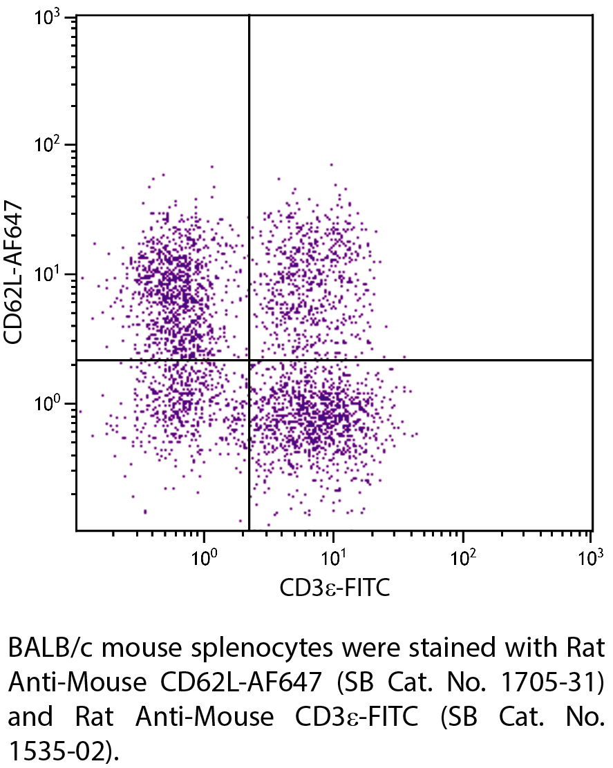Rat Anti-Mouse CD62L-AF647 - 0.1 mg
