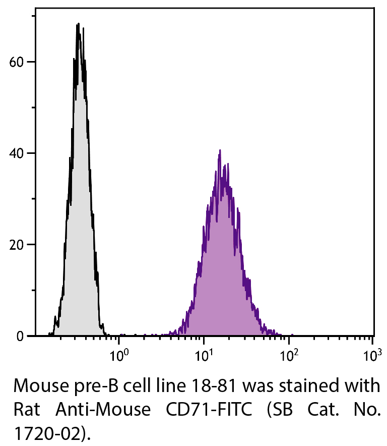 Rat Anti-Mouse CD71-FITC - 0.5 mg