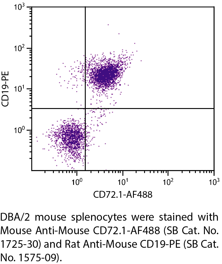 Mouse Anti-Mouse CD72.1-AF488 - 0.1 mg