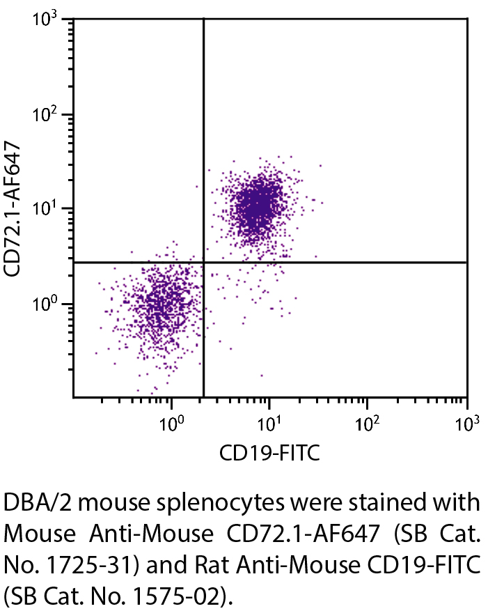 Mouse Anti-Mouse CD72.1-AF647 - 0.1 mg
