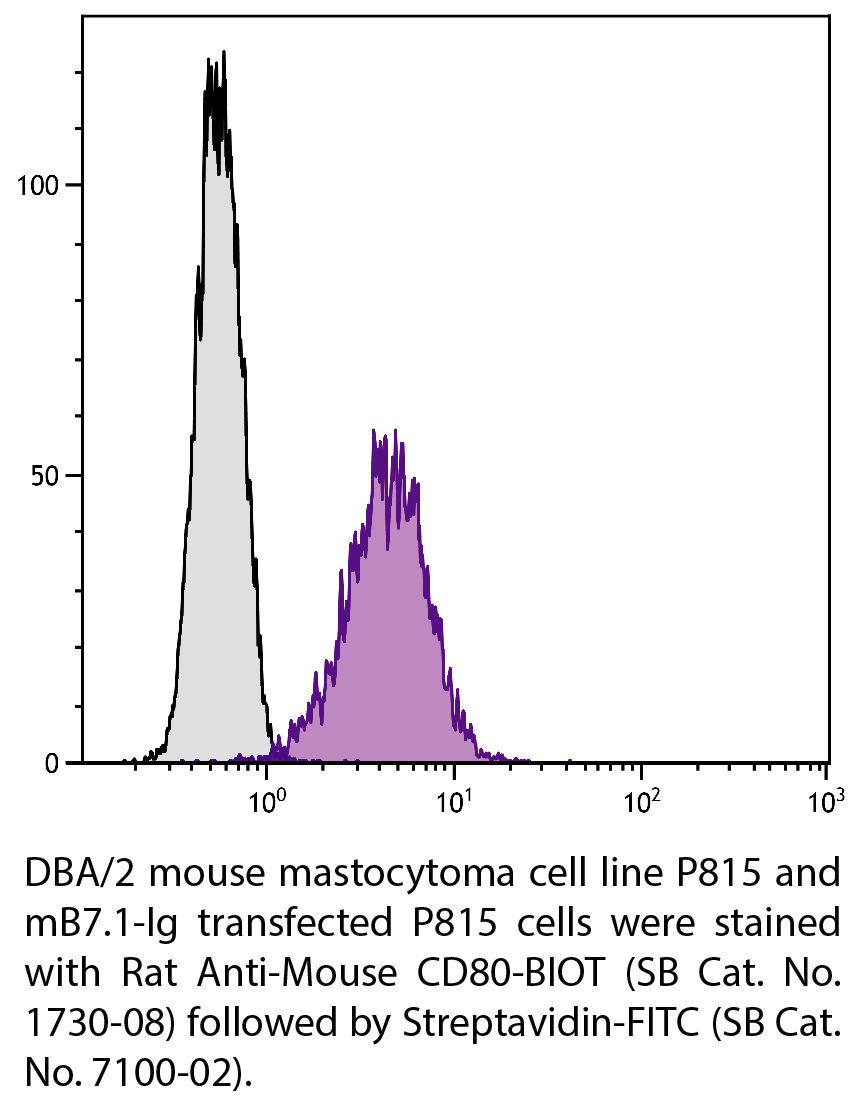 Rat Anti-Mouse CD80-BIOT - 0.5 mg