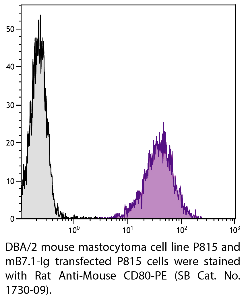 Rat Anti-Mouse CD80-PE - 0.1 mg