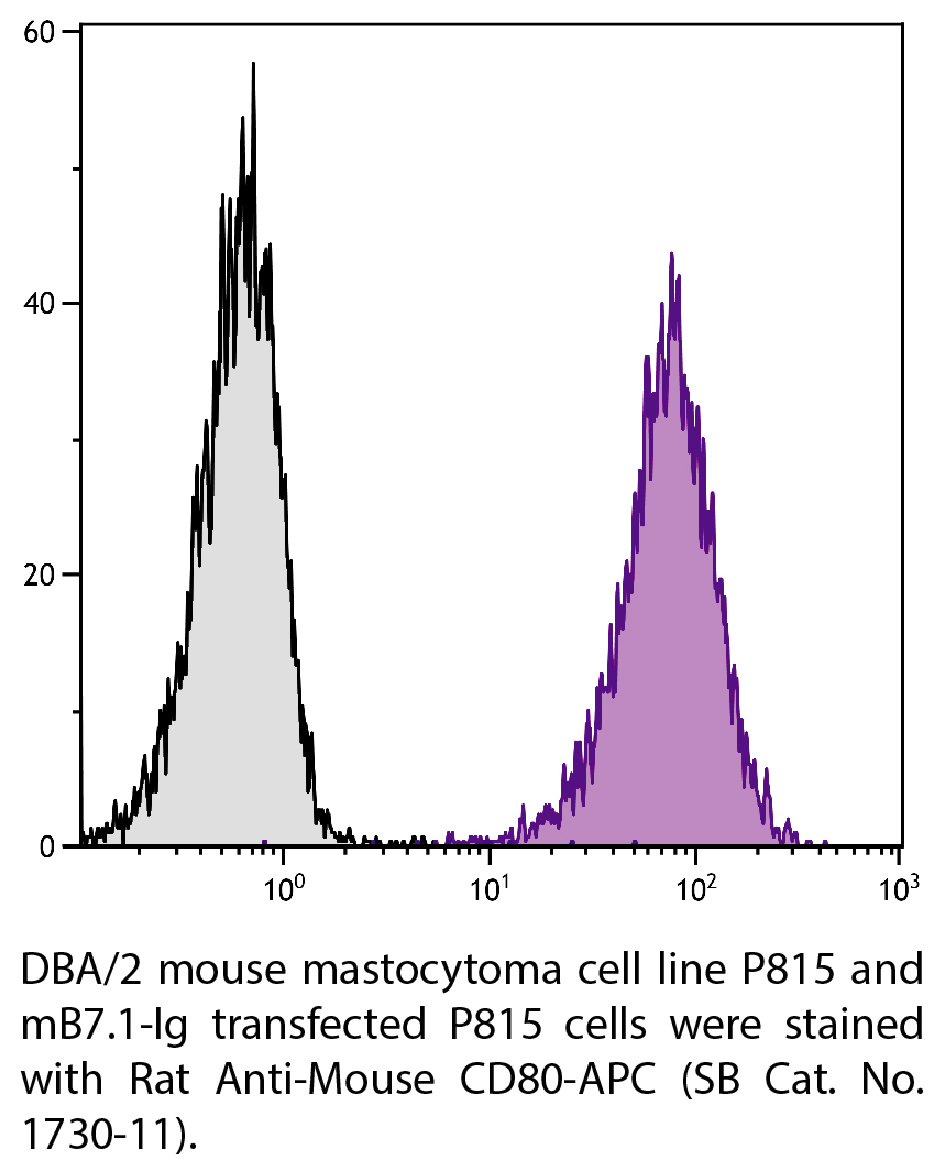 Rat Anti-Mouse CD80-APC - 0.1 mg