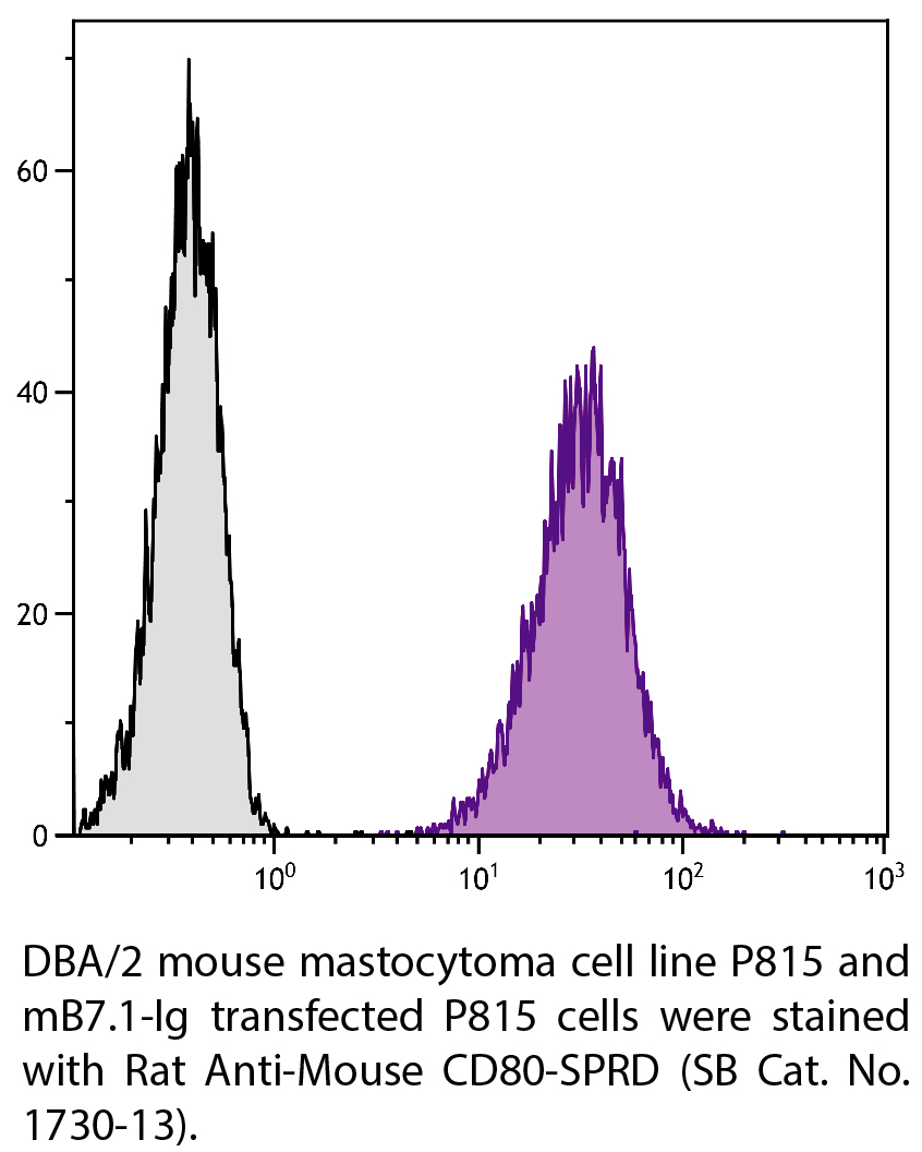 Rat Anti-Mouse CD80-SPRD - 0.1 mg