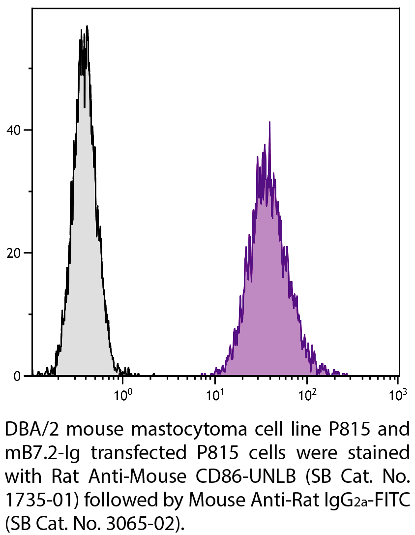 Rat Anti-Mouse CD86-UNLB - 0.5 mg