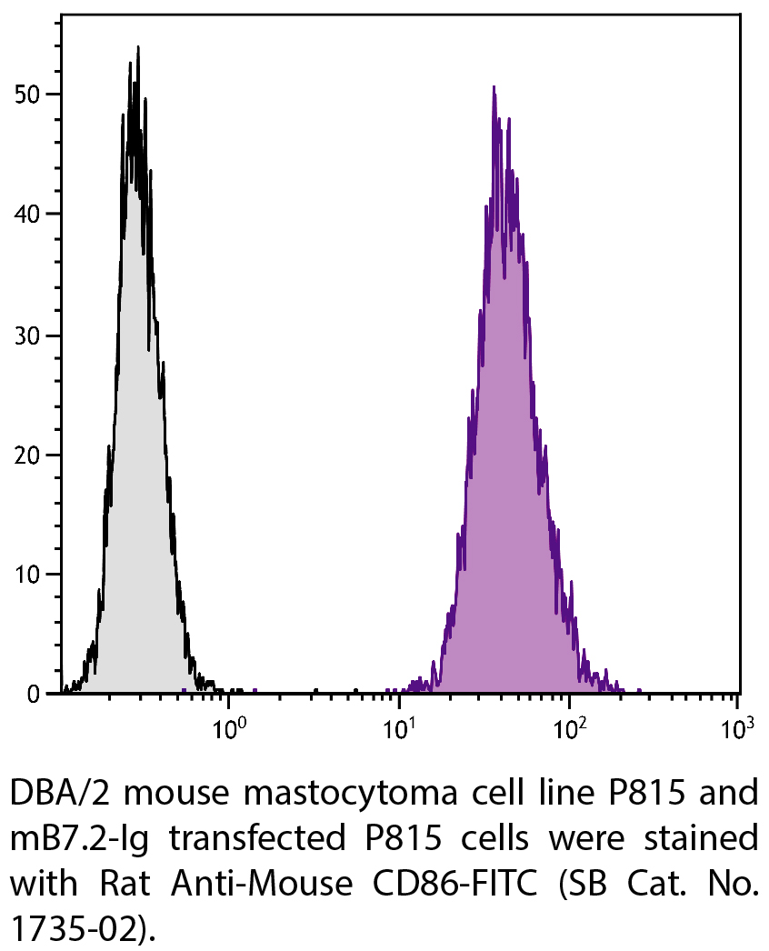 Rat Anti-Mouse CD86-FITC - 0.5 mg