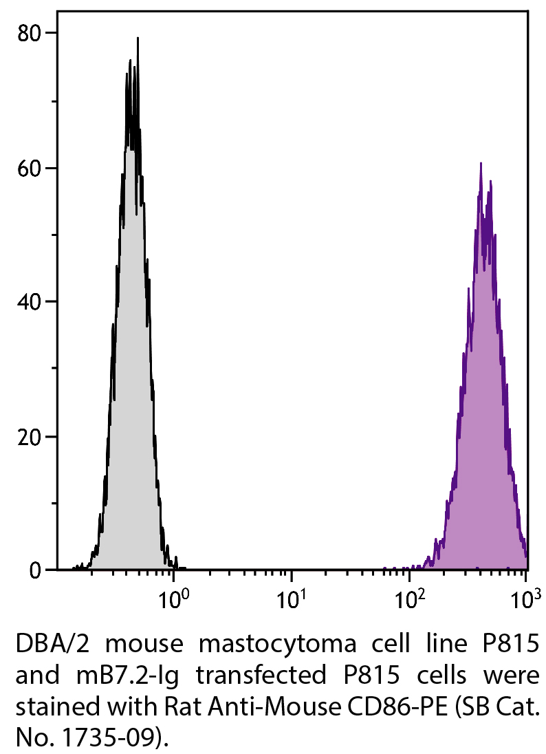 Rat Anti-Mouse CD86-PE - 0.1 mg