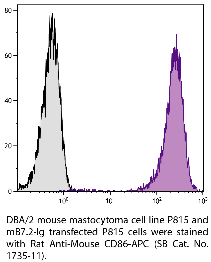 Rat Anti-Mouse CD86-APC - 0.1 mg