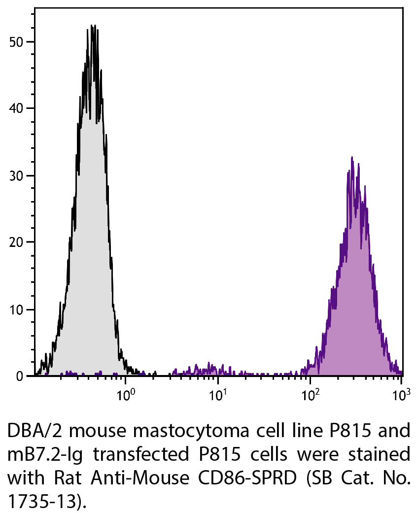 Rat Anti-Mouse CD86-SPRD - 0.1 mg