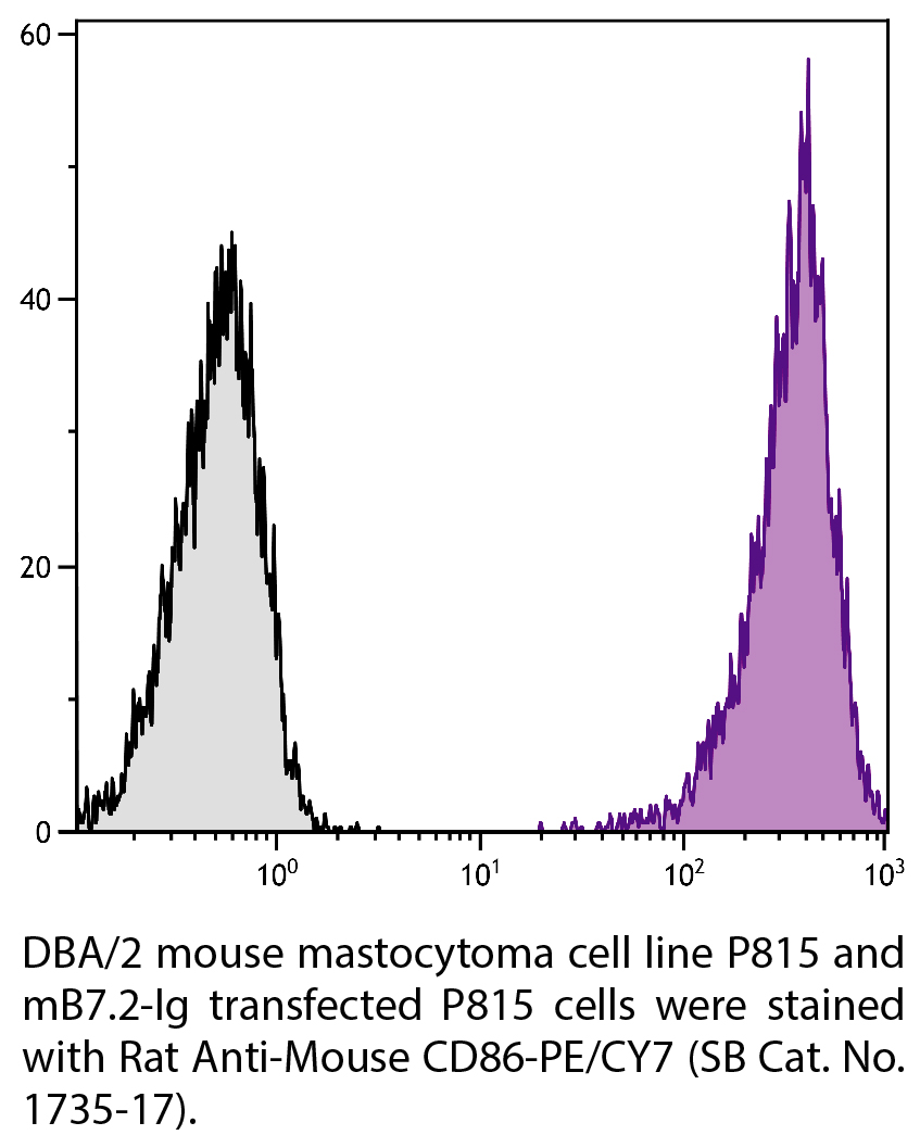 Rat Anti-Mouse CD86-PE/CY7 - 0.1 mg