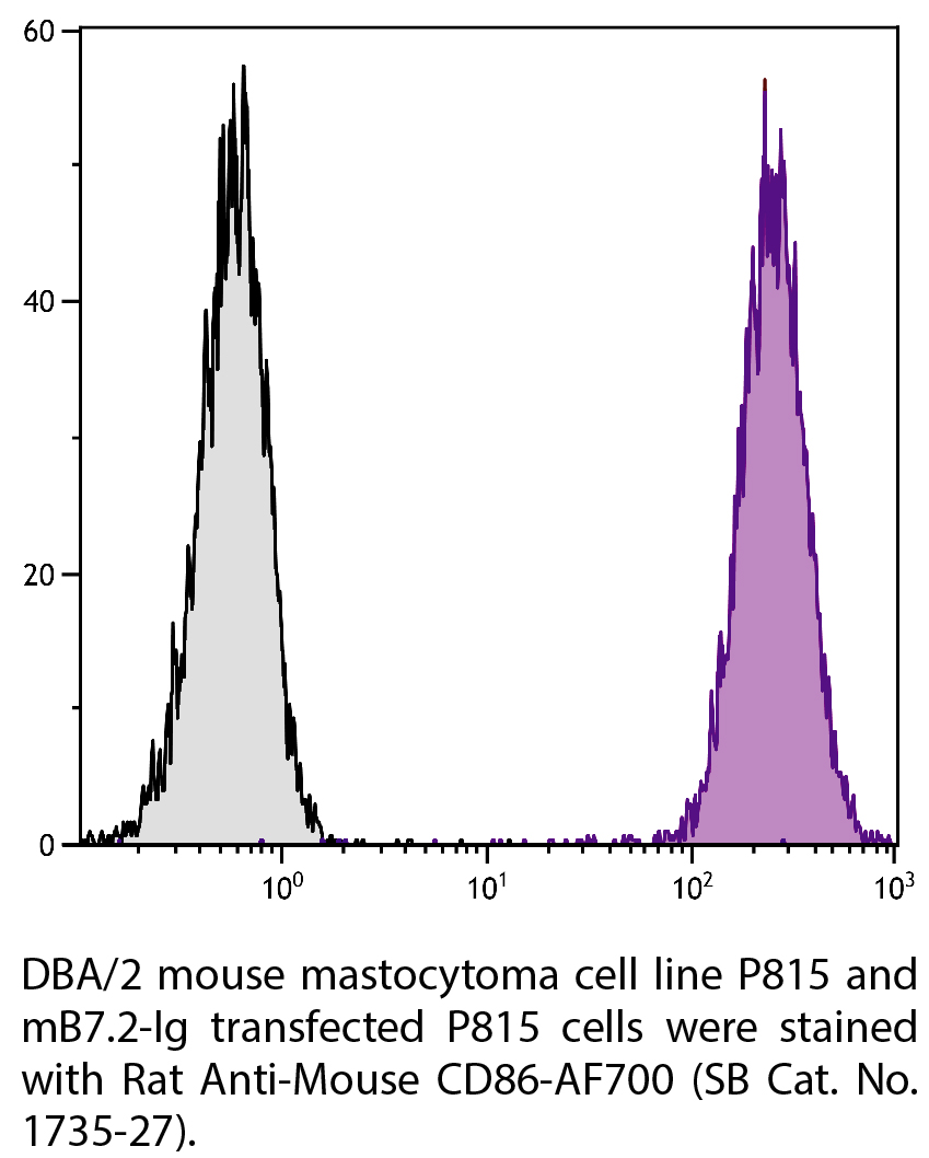 Rat Anti-Mouse CD86-AF700 - 0.1 mg