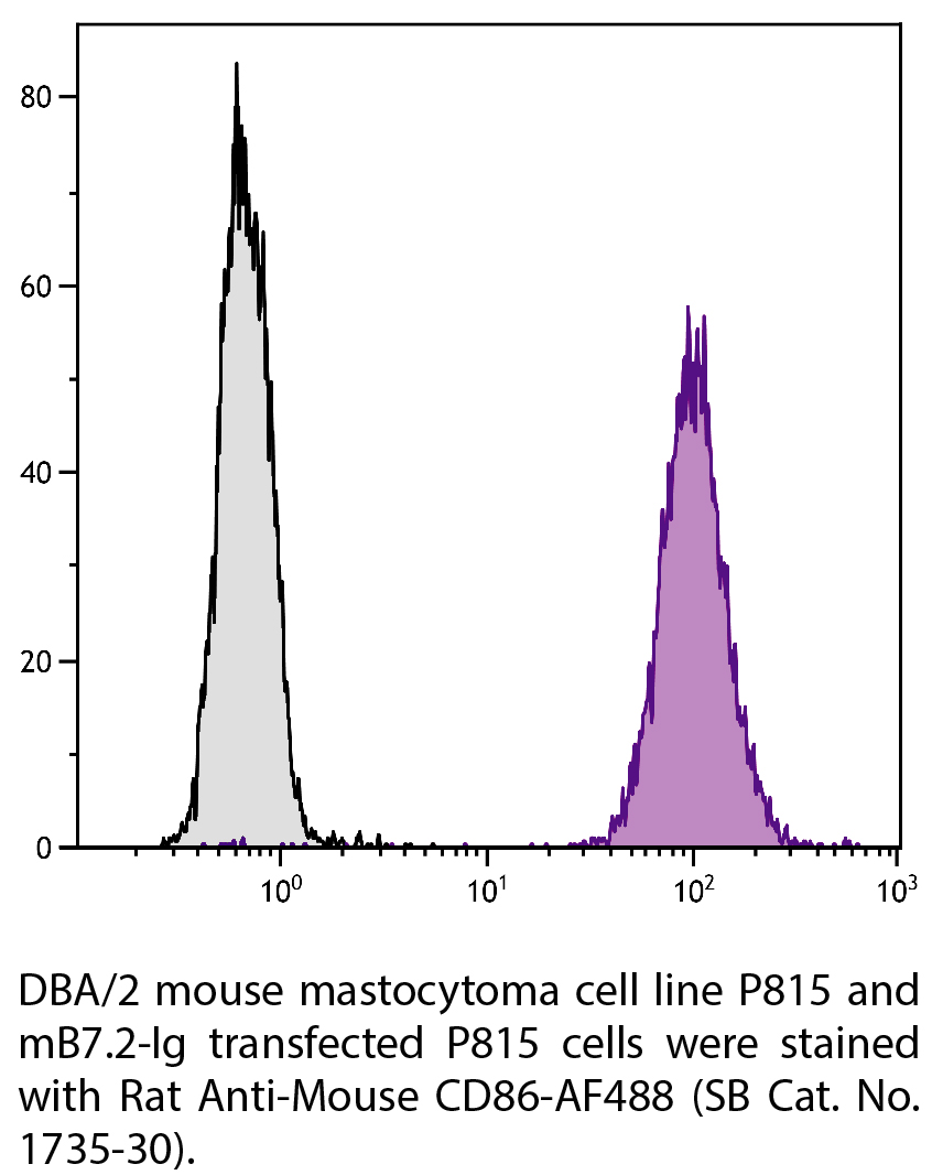 Rat Anti-Mouse CD86-AF488 - 0.1 mg