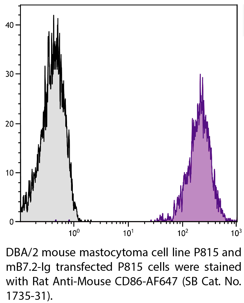 Rat Anti-Mouse CD86-AF647 - 0.1 mg