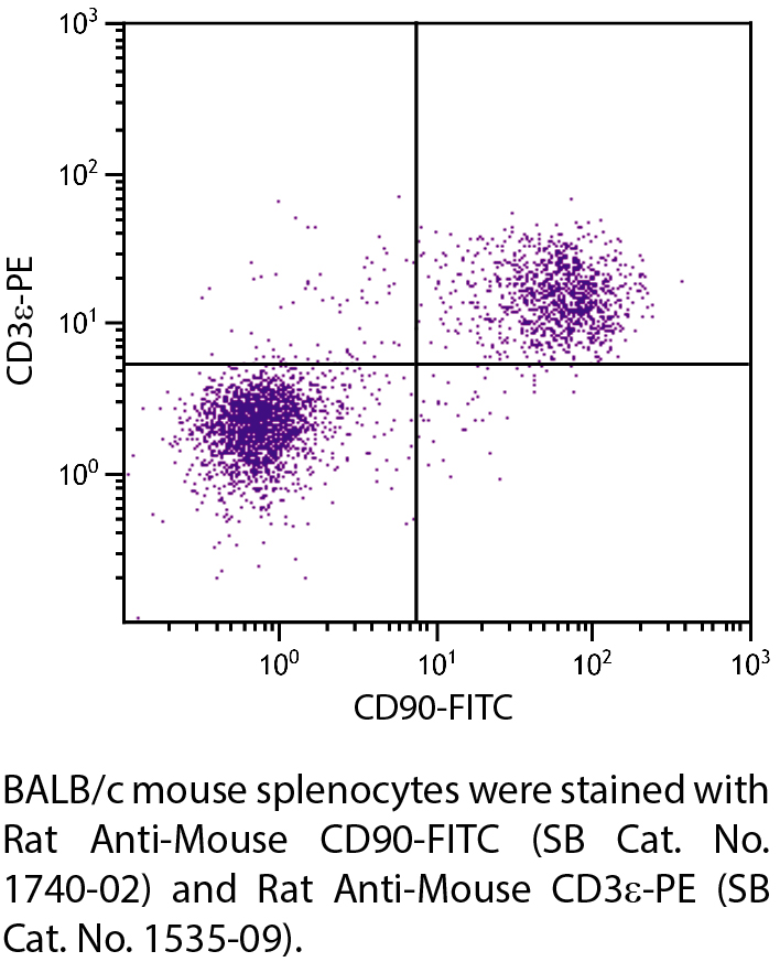 Rat Anti-Mouse CD90-FITC - 0.1 mg