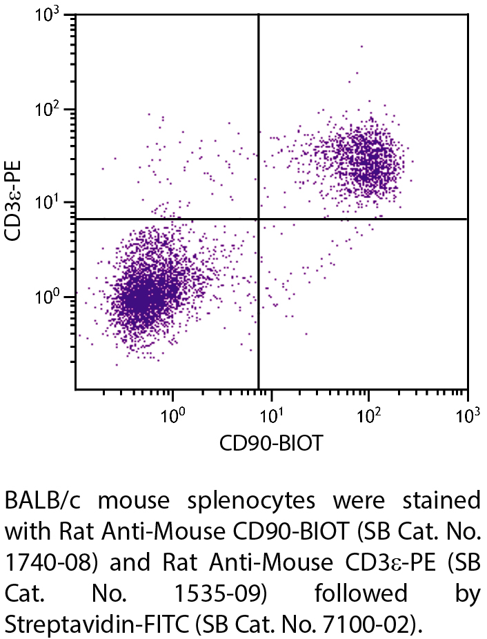 Rat Anti-Mouse CD90-BIOT - 0.5 mg