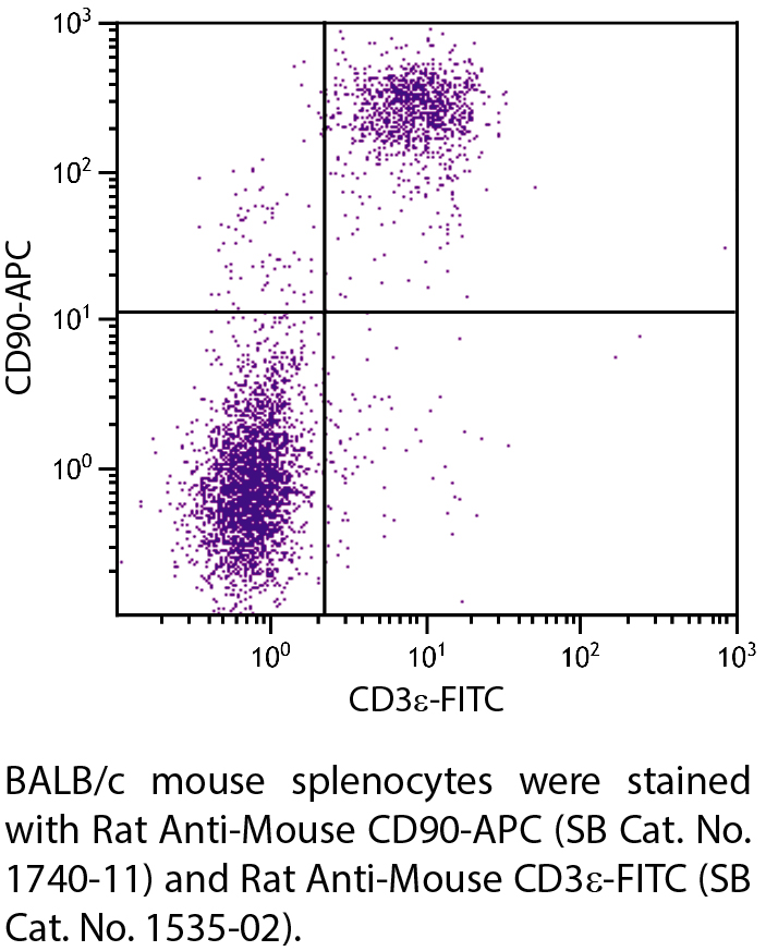 Rat Anti-Mouse CD90-APC - 0.1 mg