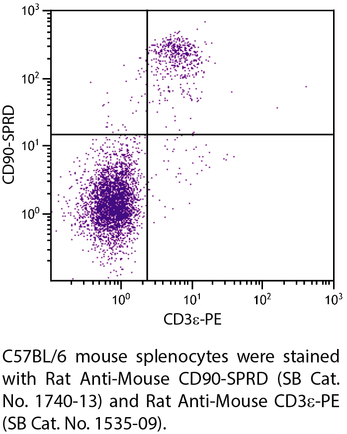 Rat Anti-Mouse CD90-SPRD - 0.1 mg