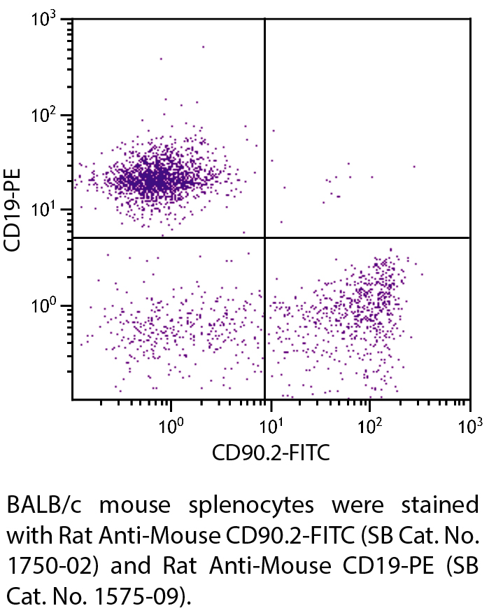 Rat Anti-Mouse CD90.2-FITC - 0.1 mg