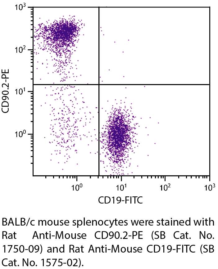 Rat Anti-Mouse CD90.2-PE - 0.1 mg