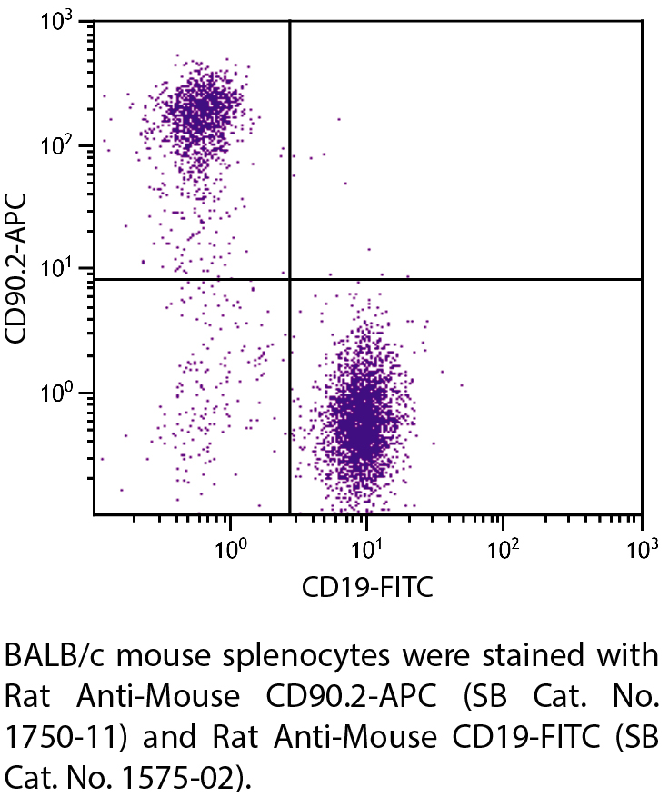 Rat Anti-Mouse CD90.2-APC - 0.1 mg