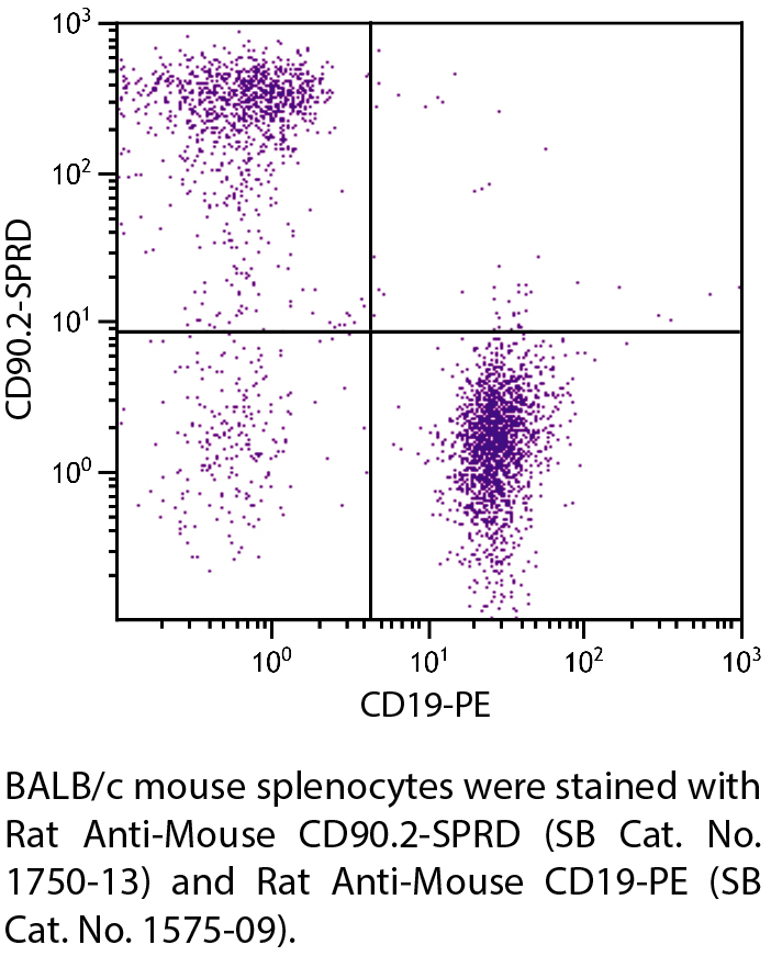 Rat Anti-Mouse CD90.2-SPRD - 0.1 mg