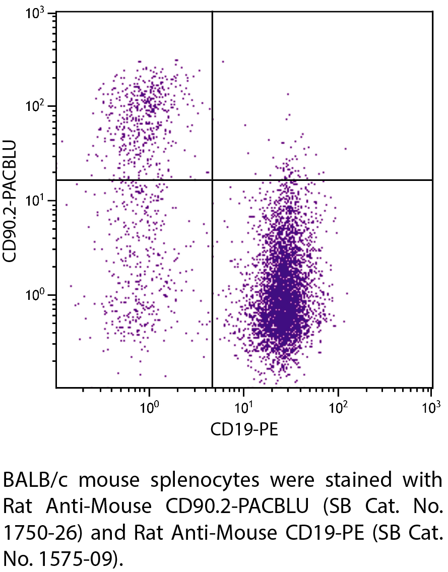 Rat Anti-Mouse CD90.2-PACBLU - 0.1 mg