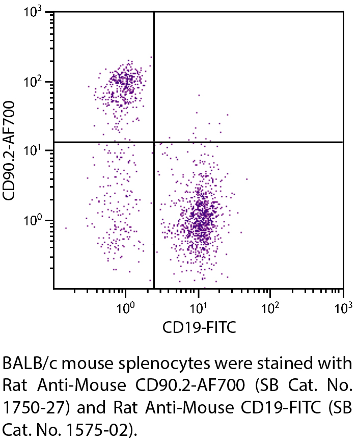 Rat Anti-Mouse CD90.2-AF700 - 0.1 mg