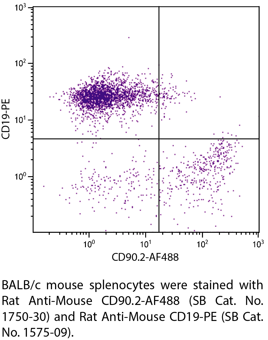 Rat Anti-Mouse CD90.2-AF488 - 0.1 mg
