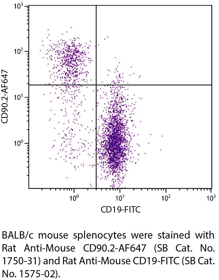 Rat Anti-Mouse CD90.2-AF647 - 0.1 mg