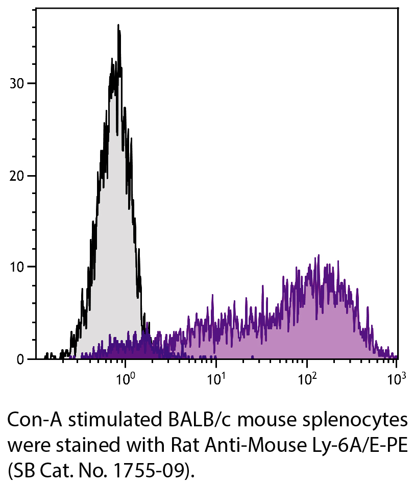 Rat Anti-Mouse Ly-6A/E-PE - 0.1 mg