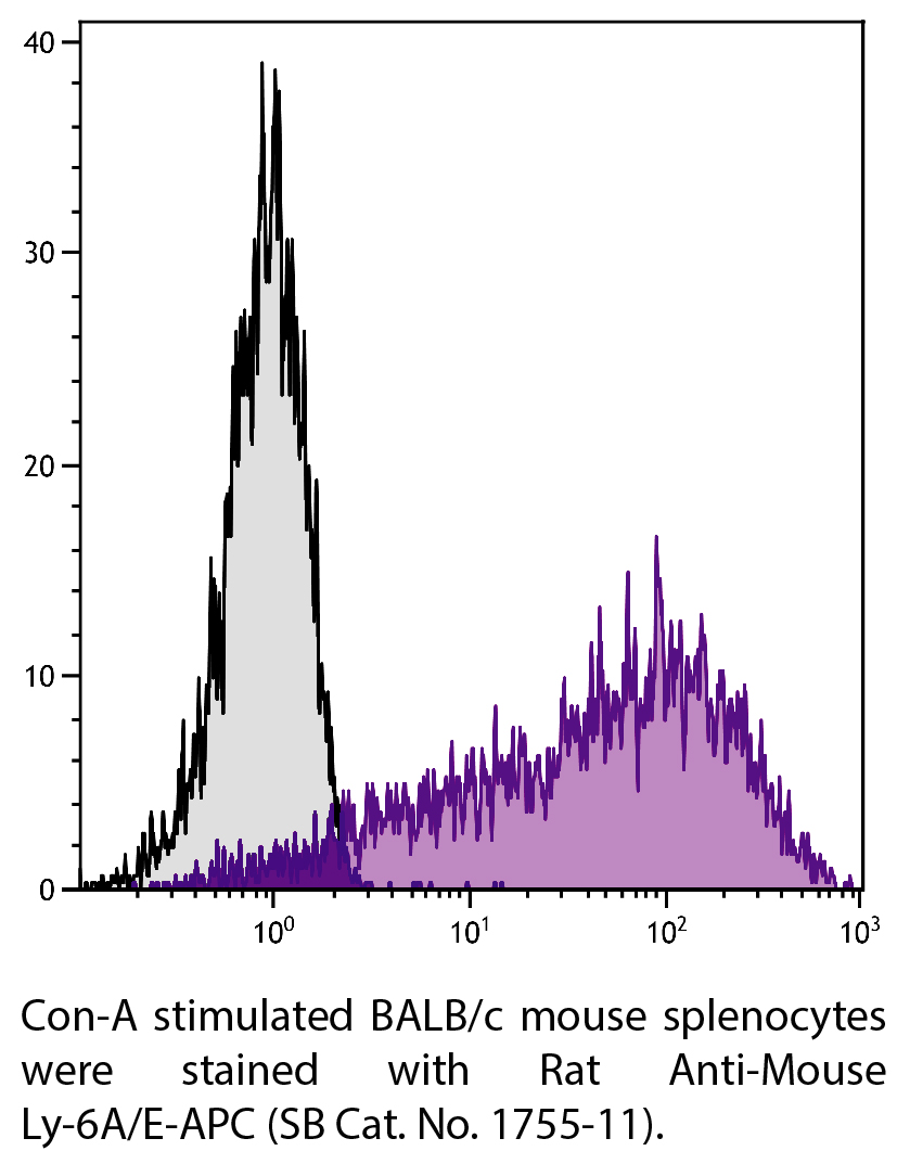 Rat Anti-Mouse Ly-6A/E-APC - 0.1 mg