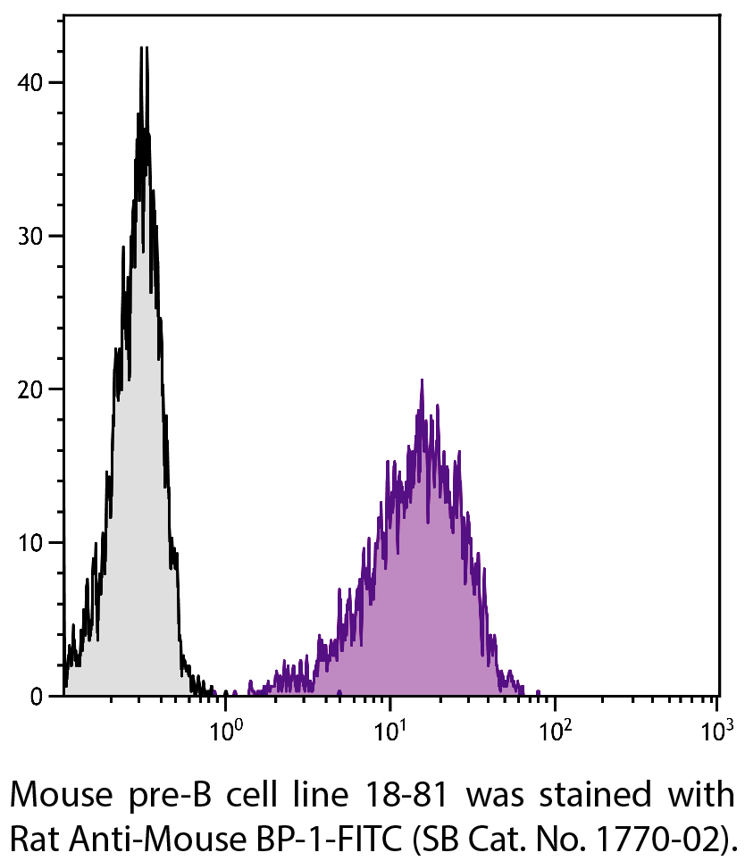 Rat Anti-Mouse BP-1-FITC - 0.5 mg