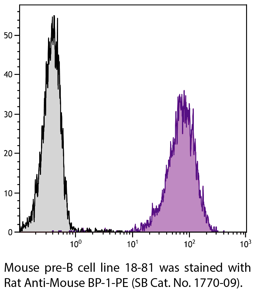 Rat Anti-Mouse BP-1-PE - 0.2 mg