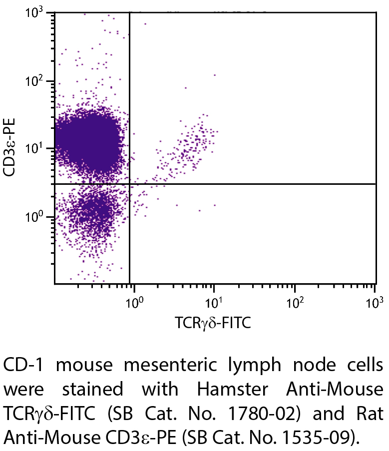 Hamster Anti-Mouse TCRγδ-FITC - 0.5 mg