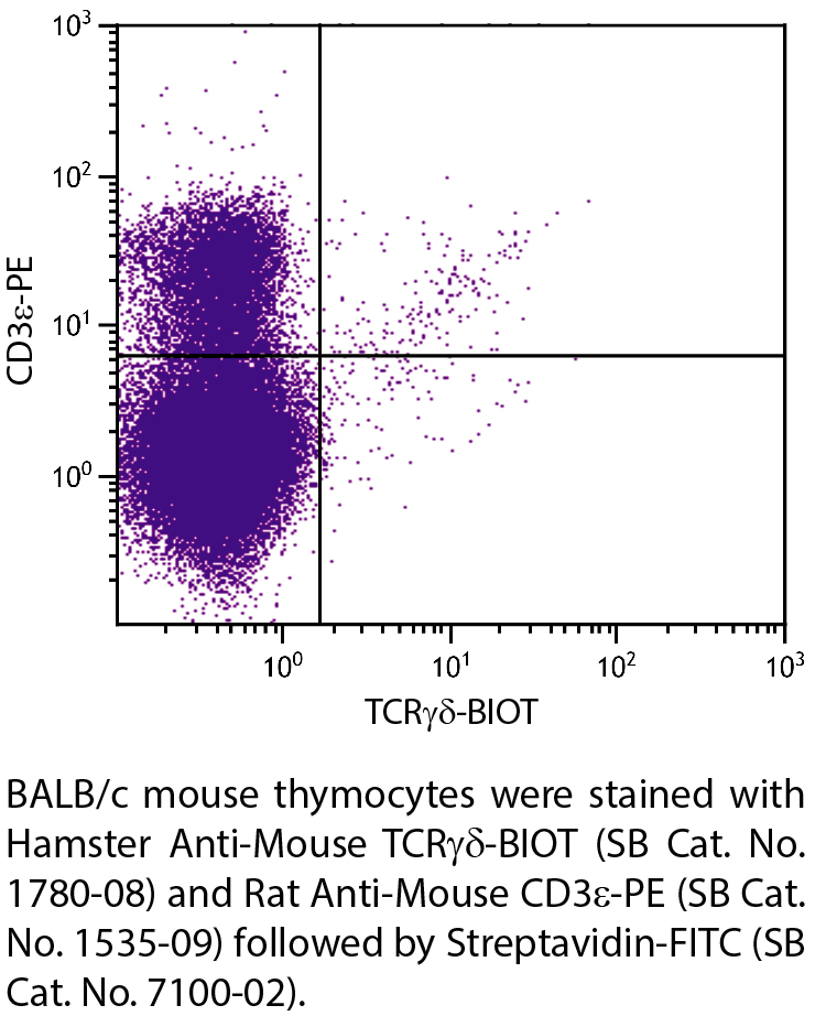 Hamster Anti-Mouse TCRγδ-BIOT - 0.5 mg