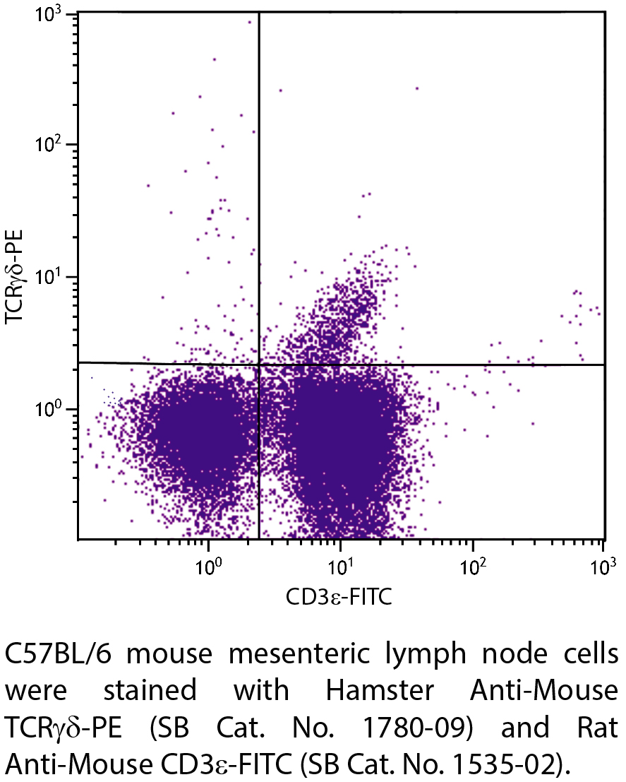 Hamster Anti-Mouse TCRγδ-PE - 0.1 mg