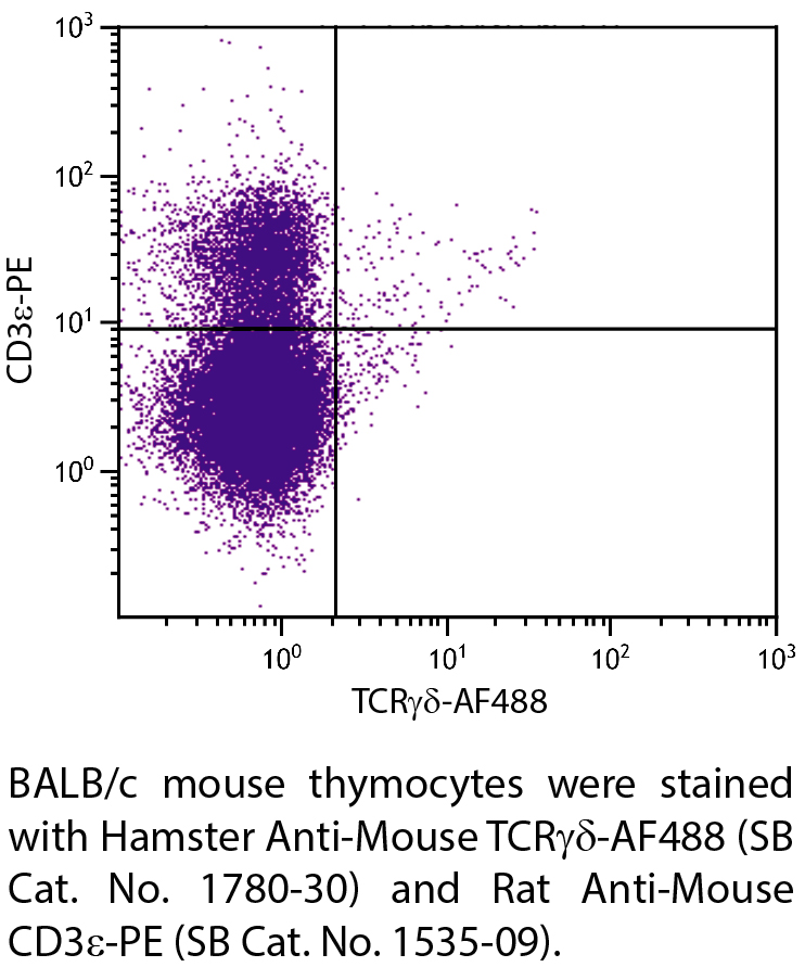 Hamster Anti-Mouse TCRγδ-AF488 - 0.1 mg