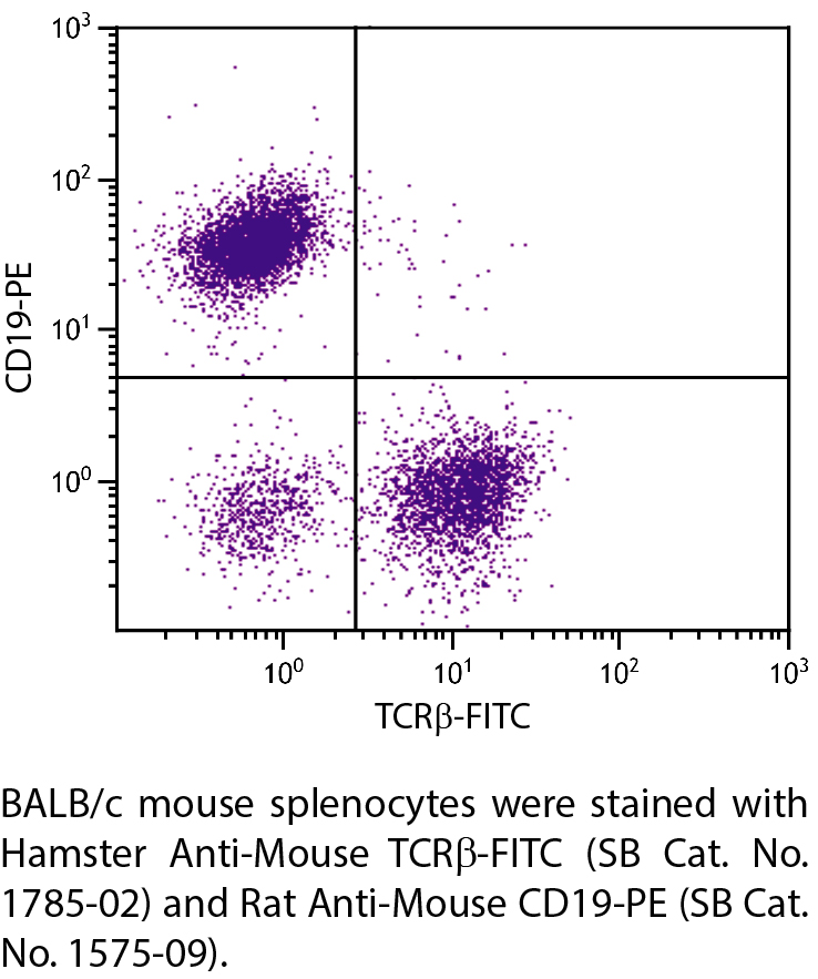 Hamster Anti-Mouse TCRβ-FITC - 0.5 mg