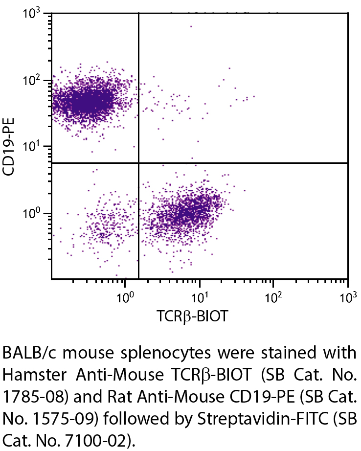 Hamster Anti-Mouse TCRβ-BIOT - 0.5 mg