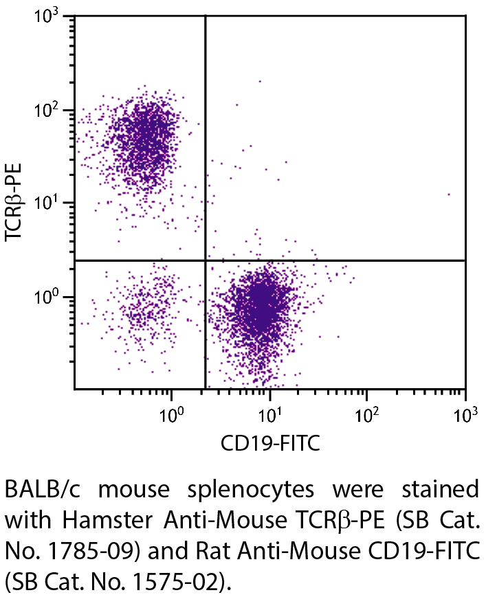 Hamster Anti-Mouse TCRβ-PE - 0.1 mg