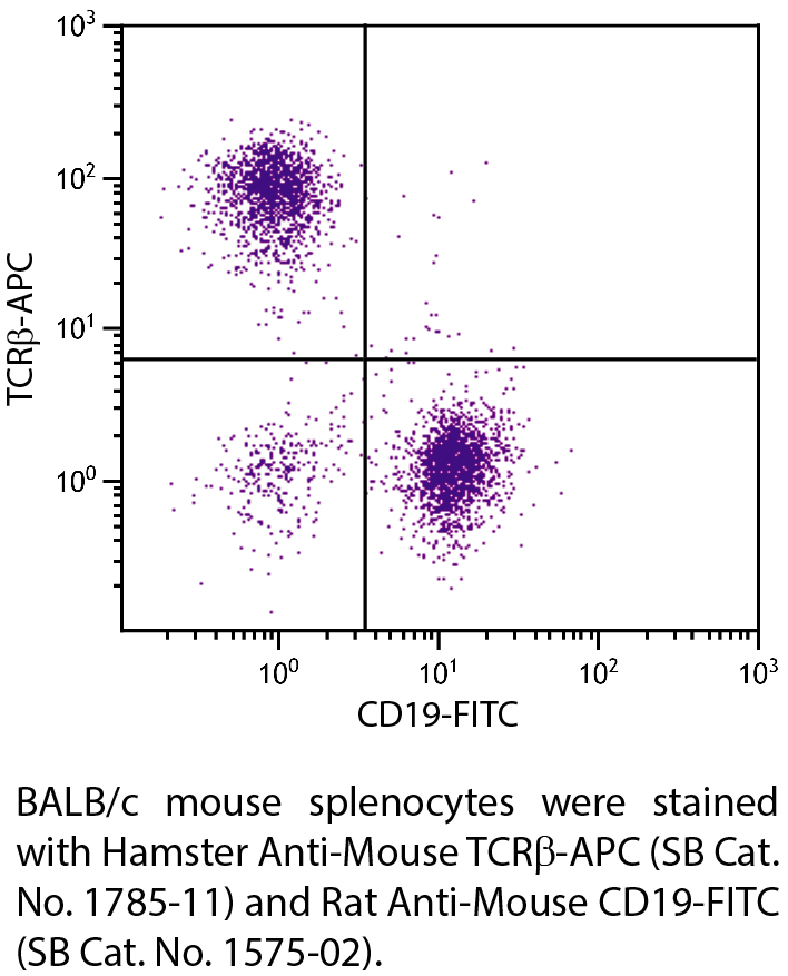 Hamster Anti-Mouse TCRβ-APC - 0.1 mg