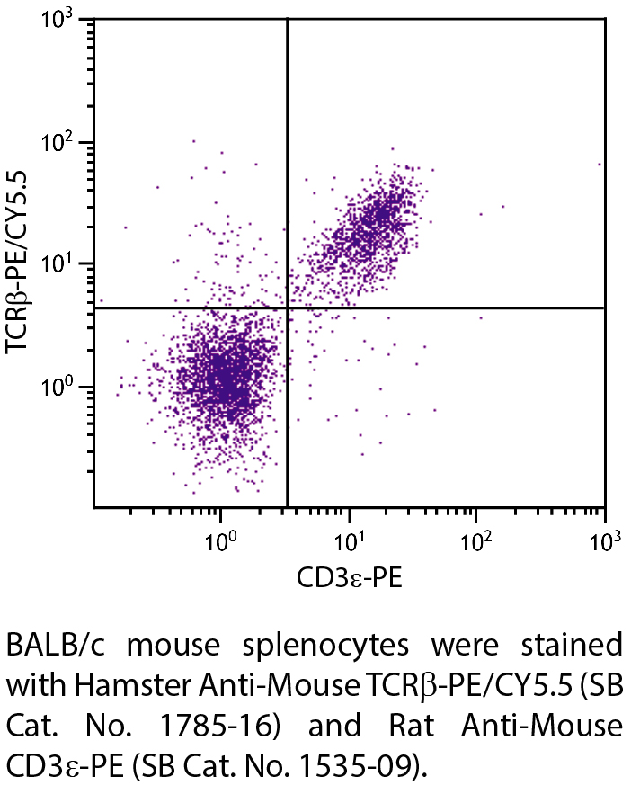 Hamster Anti-Mouse TCRβ-PE/CY5.5 - 0.1 mg