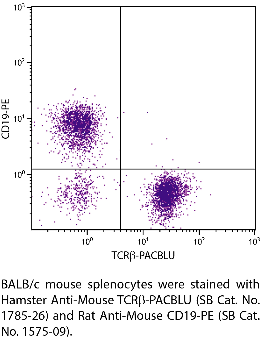 Hamster Anti-Mouse TCRβ-PACBLU - 0.1 mg