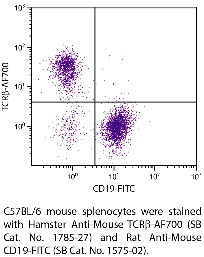 Hamster Anti-Mouse TCRβ-AF700 - 0.1 mg